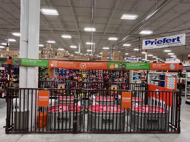 Indoor Sheep Hog Goat Panels Display 3